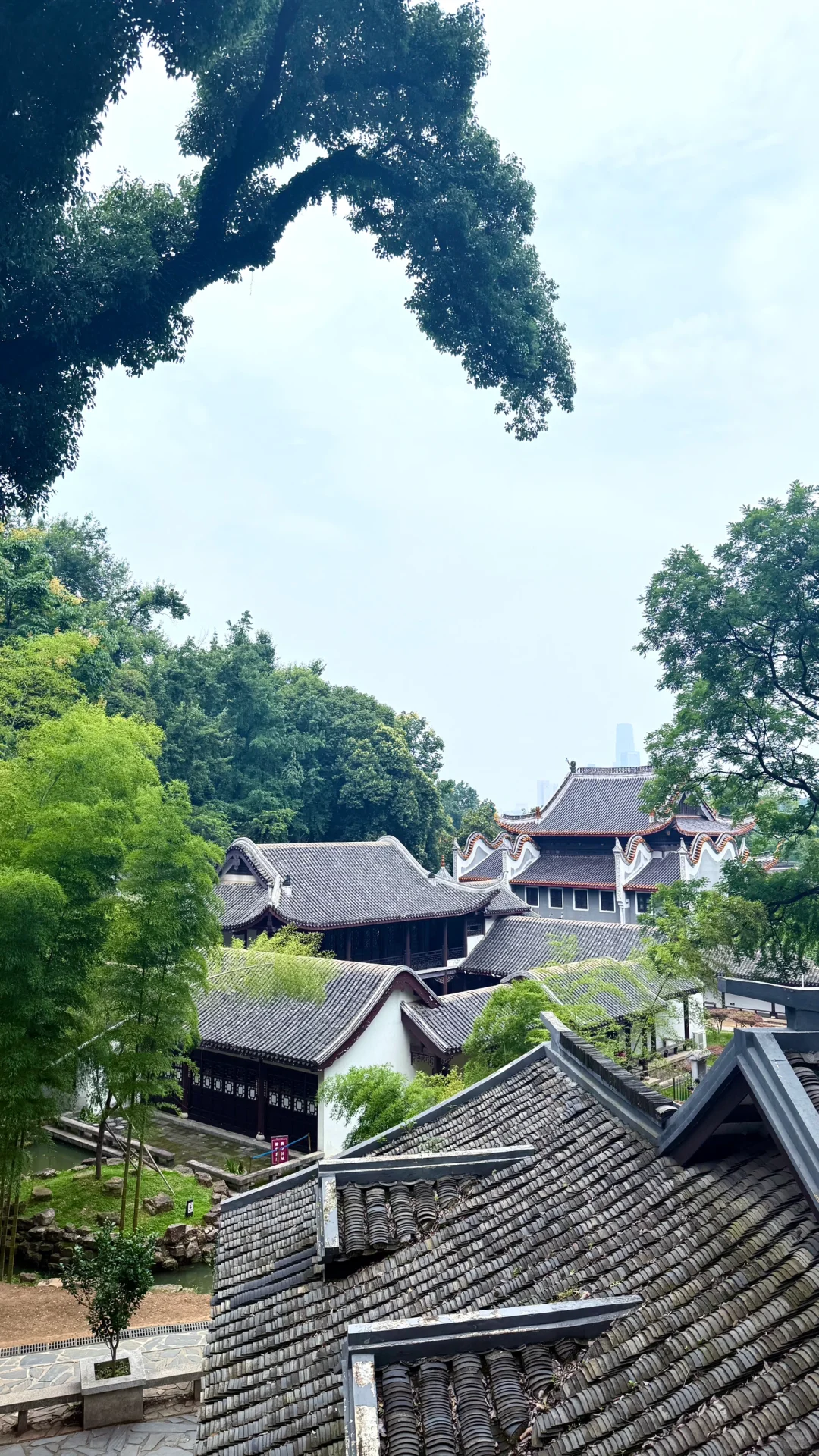 岳麓山真的可以不用登顶😮‍💨😮‍💨😮‍💨