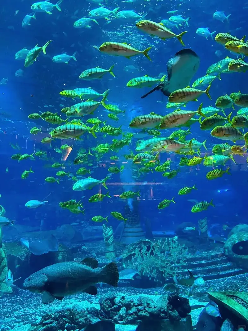 高端亲子游 3岁+适用