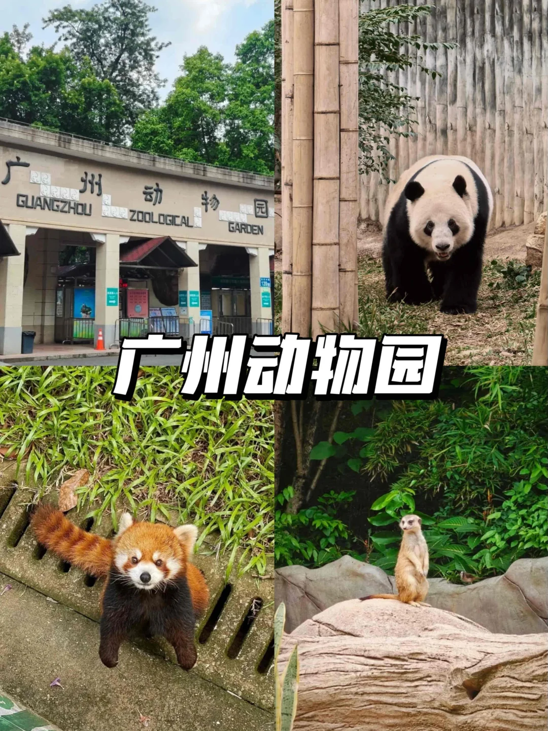 🗺️熬夜整理广州景点真实鄙视链|附避雷攻略