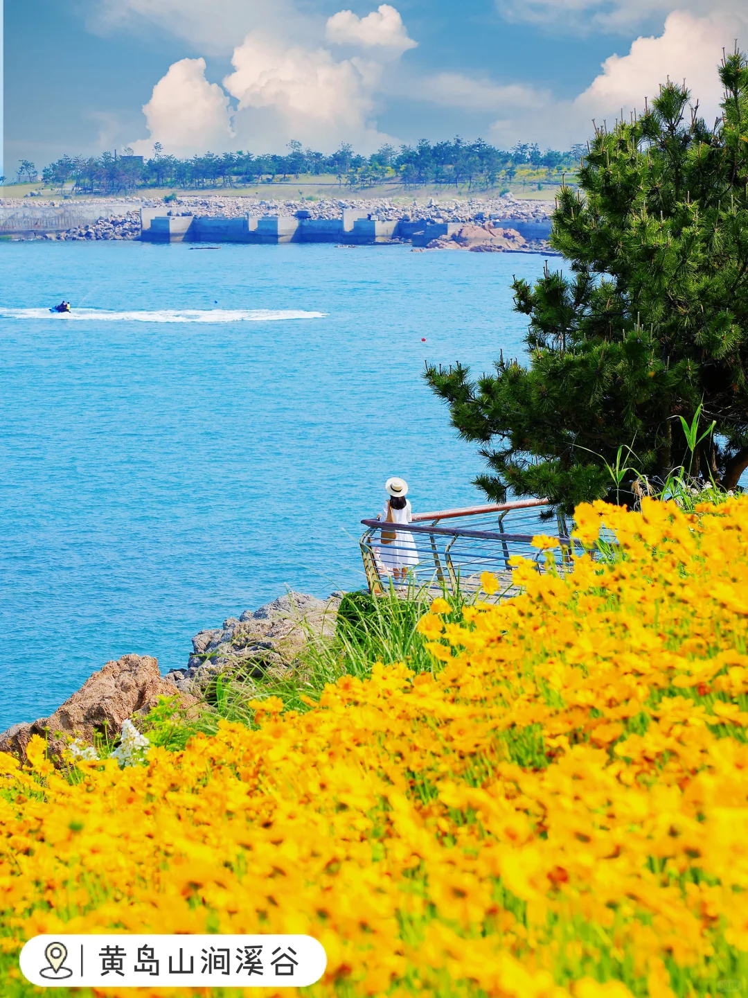 为了这18张照片我特意去了趟📍青岛🌊附机位