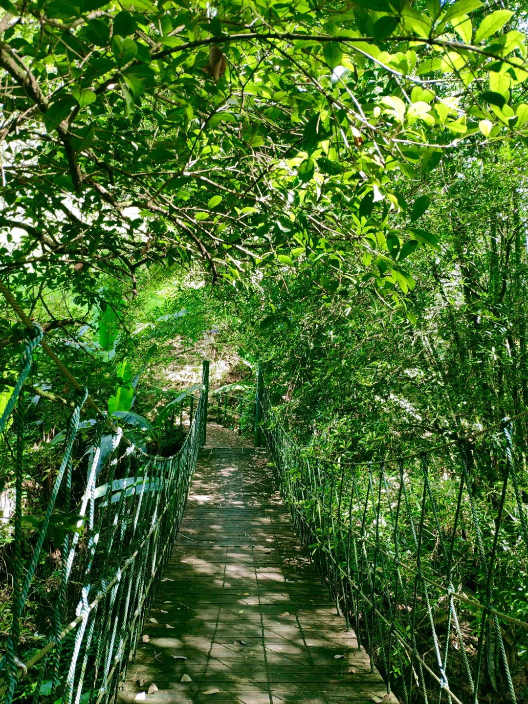 救命！在福建挖到天然玩水天堂！溪源大峡谷