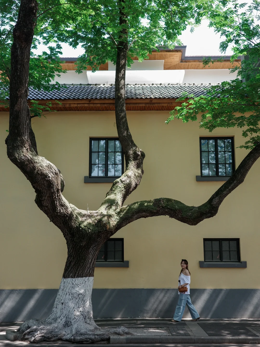 为了这18张照片……我特地飞了趟南京!(附机位