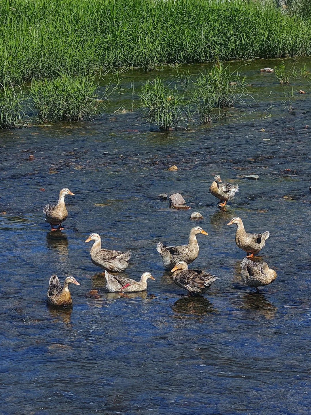 开车1小时45分‖怀柔老公营村旅游休闲步道