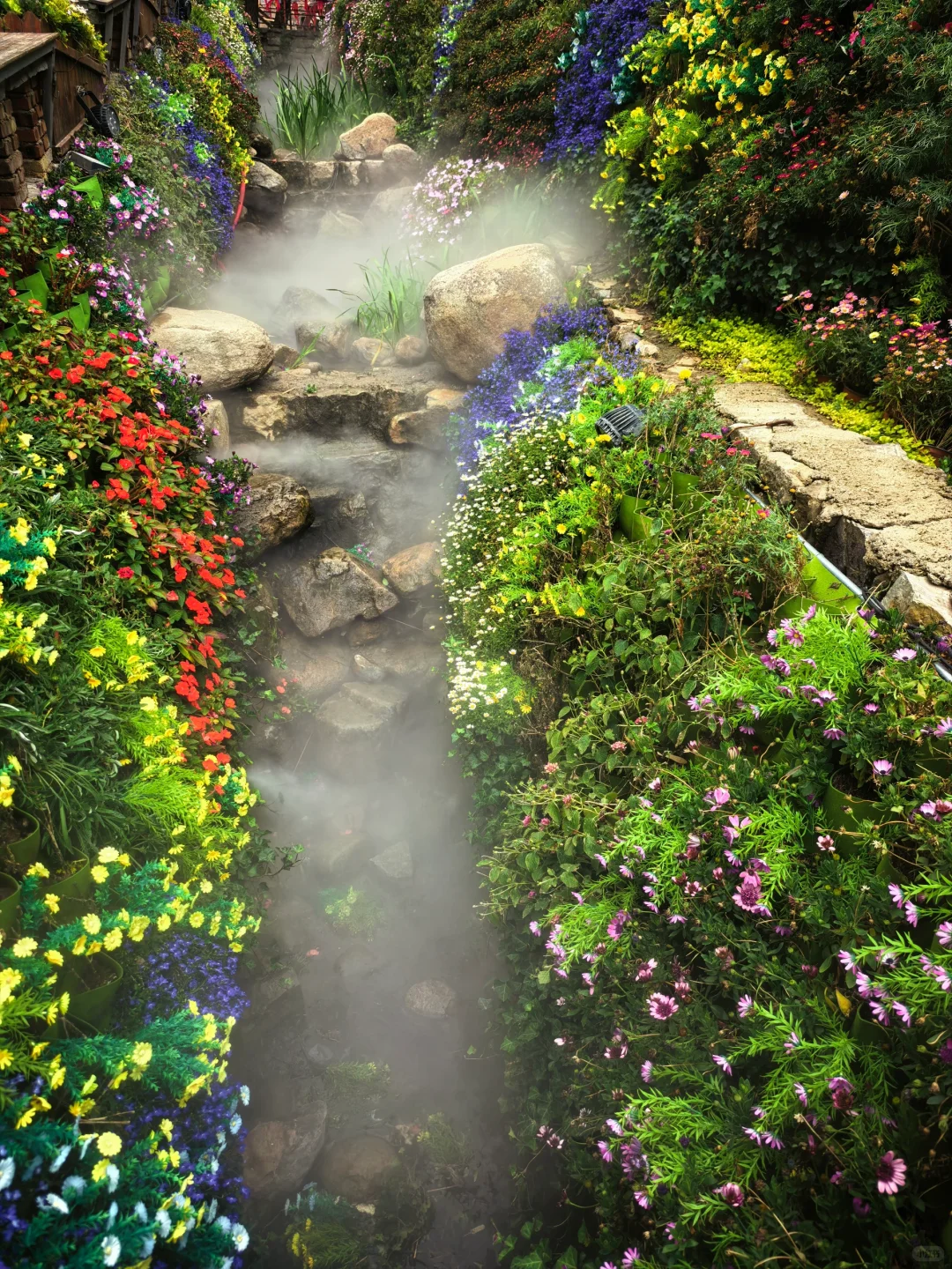 🍃朋友圈都以为我出省了,其实我还在山东