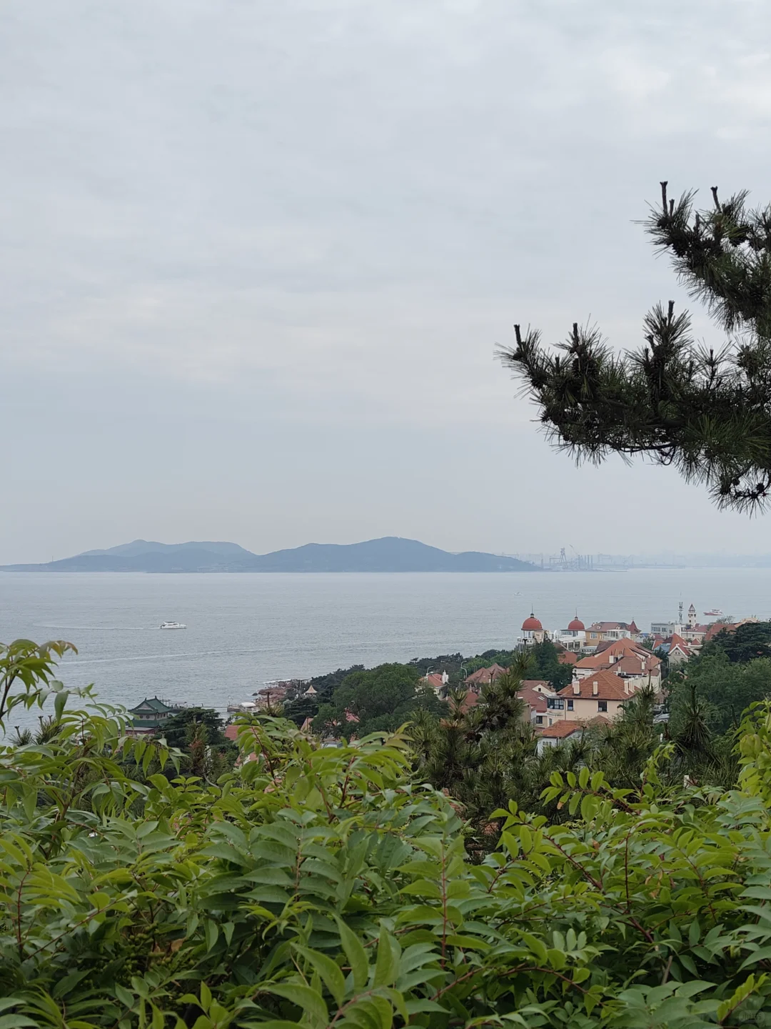 青岛 | 到处都是淀粉肠和冰箱贴的城市