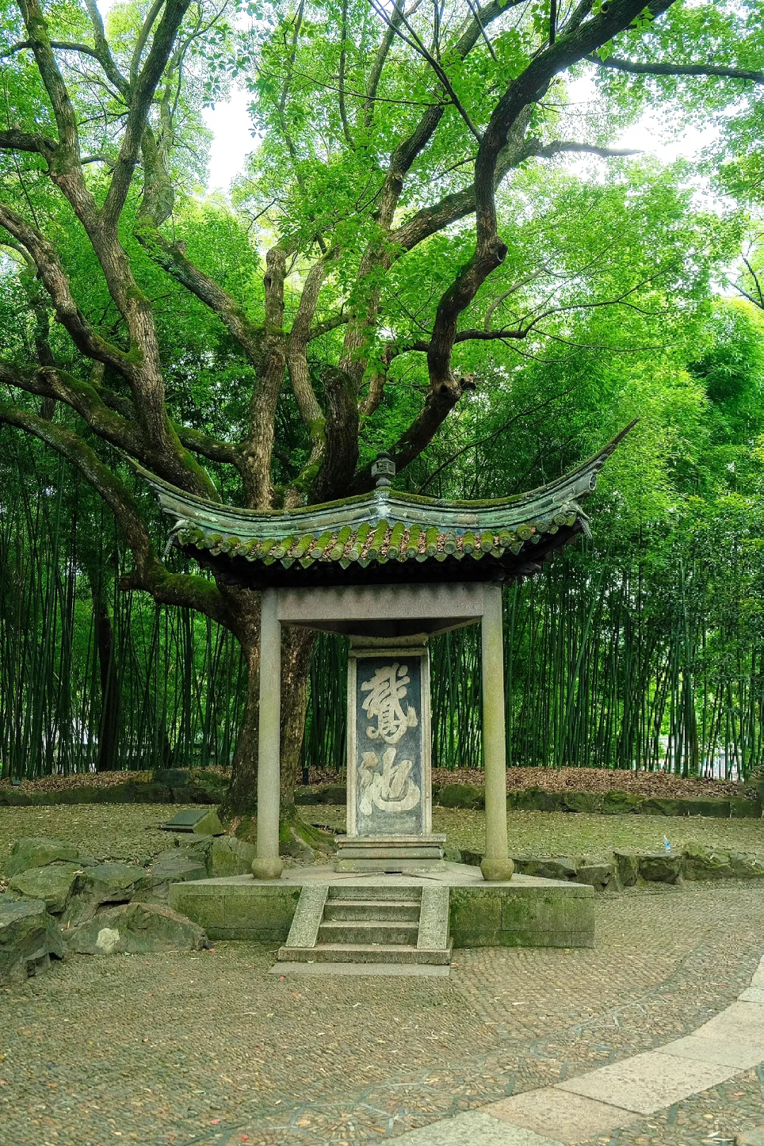 迄今为止,我最喜欢的旅游城市出现了…