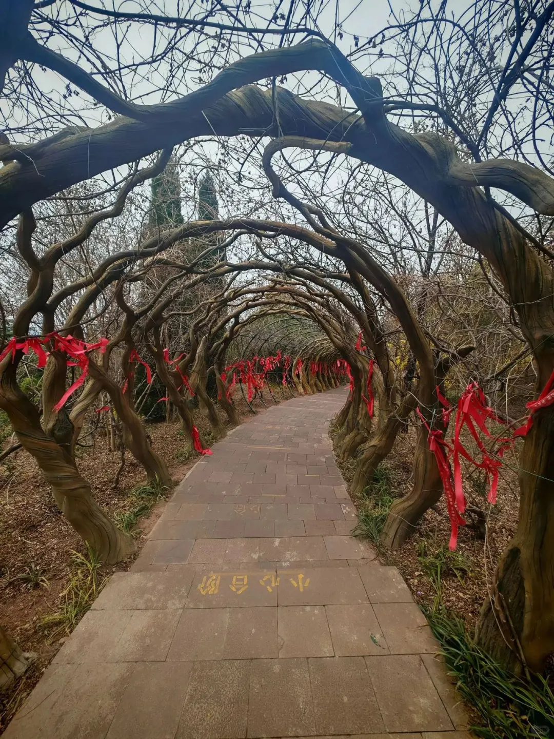 适合带小朋友一起游玩的马陵山景区