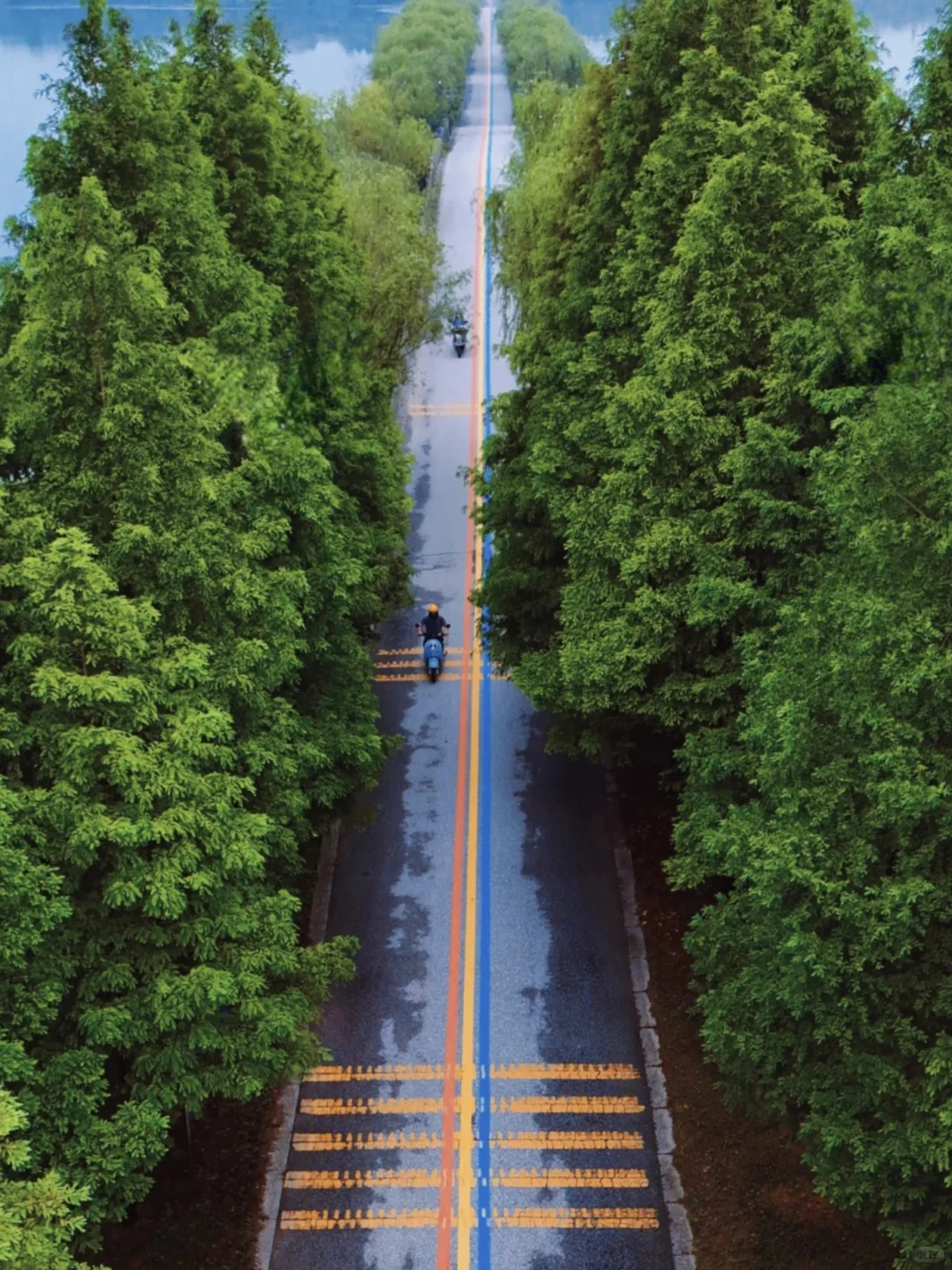 喜水人不可错过的宝藏小城💧江浙沪避暑游