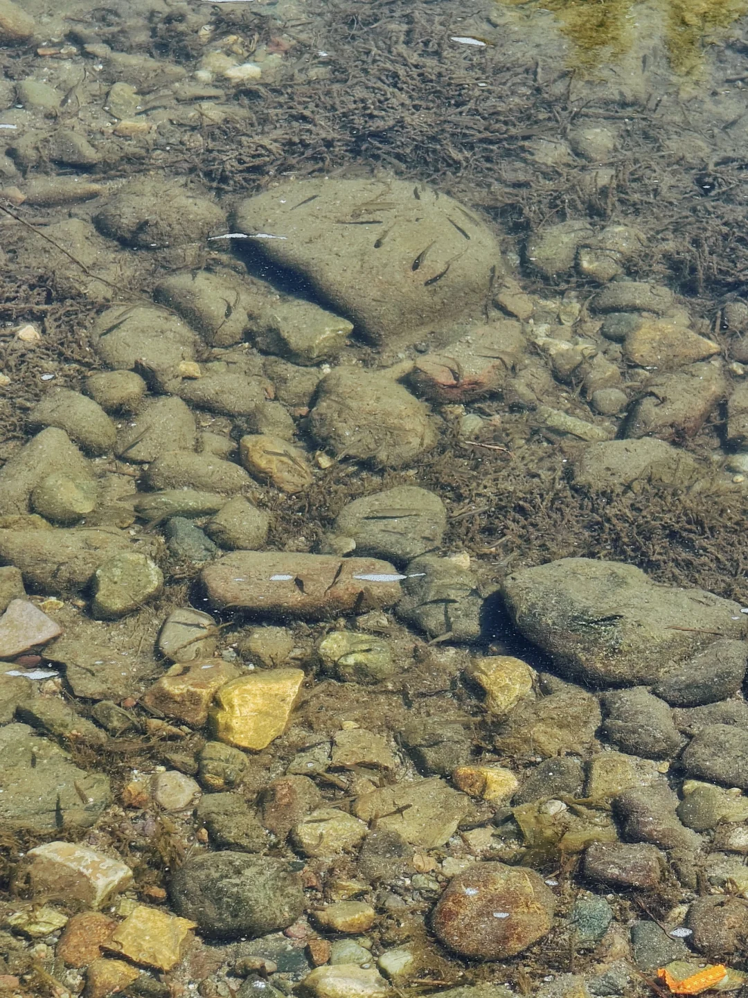 开车1小时45分‖怀柔老公营村旅游休闲步道