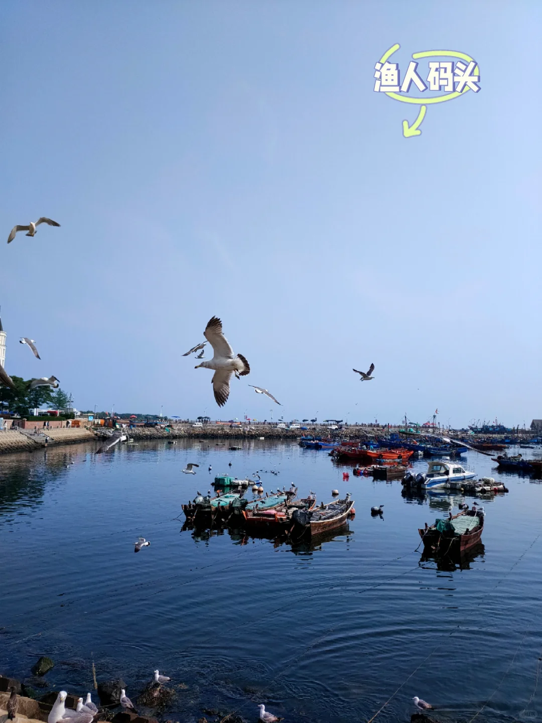 2024暑假东北之旅流水账（一）