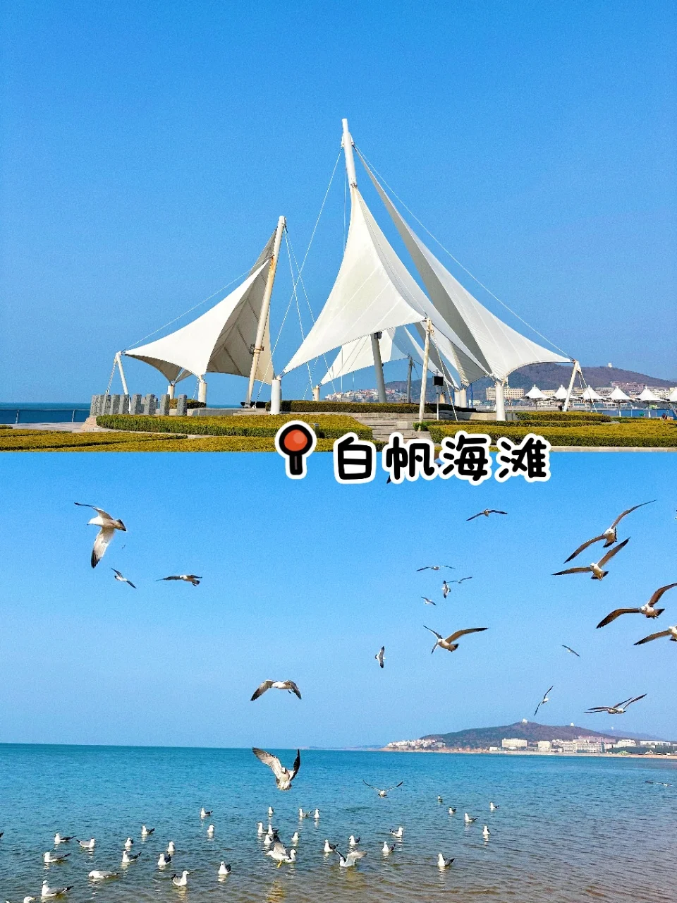 终于轮到我安利威海了😭 真的美疯