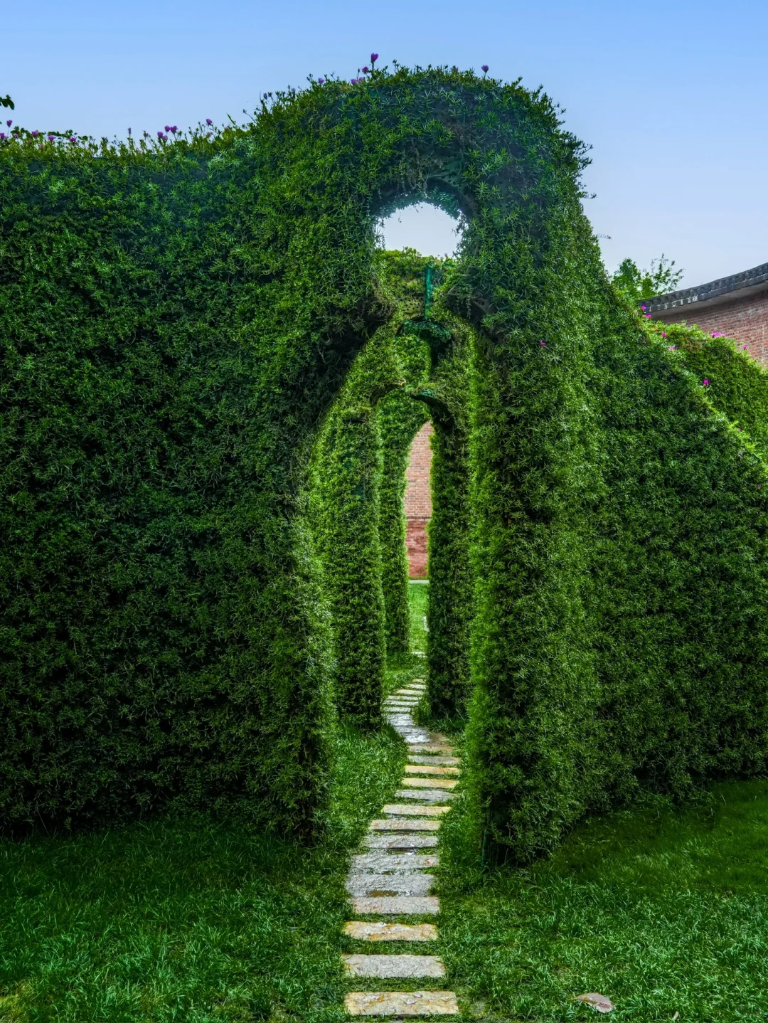 小红书跟风最成功的一次❗不是摩洛哥,是弥勒