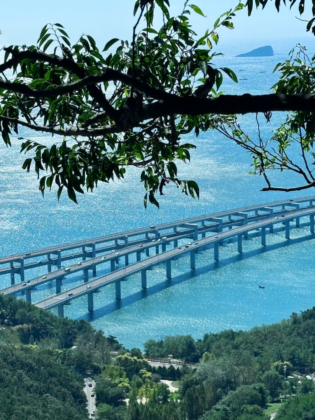 十一去大连一定要打卡的景点攻略🌊