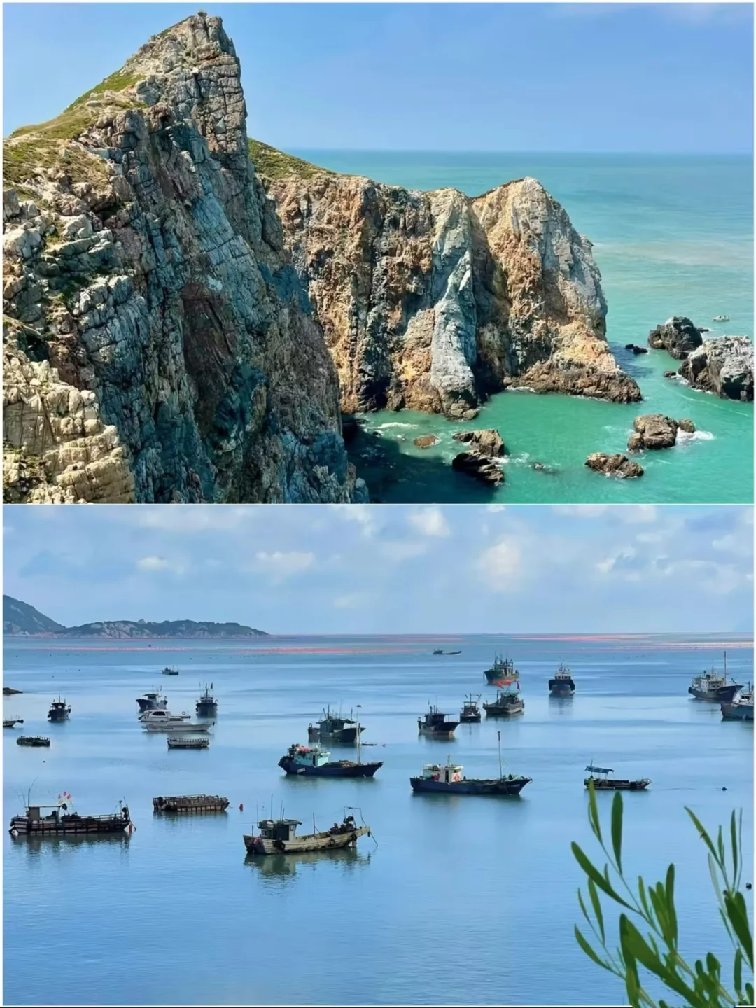 放弃三亚了，这里太香了！🌴