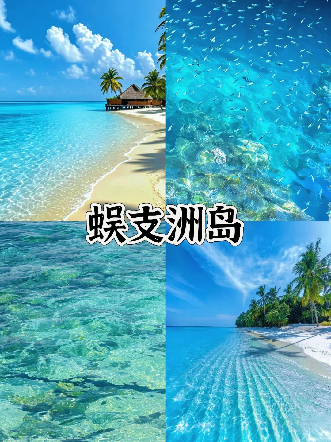 中国最美的零差评4座海岛，你总要来一次吧