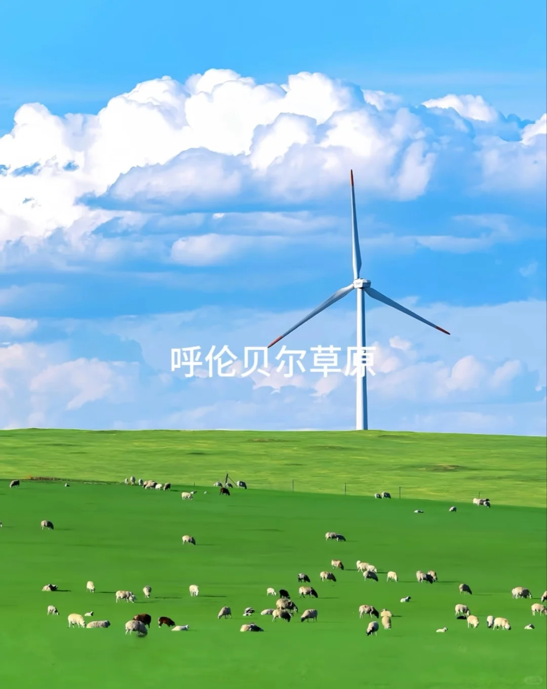 适合情侣去的8个打卡地