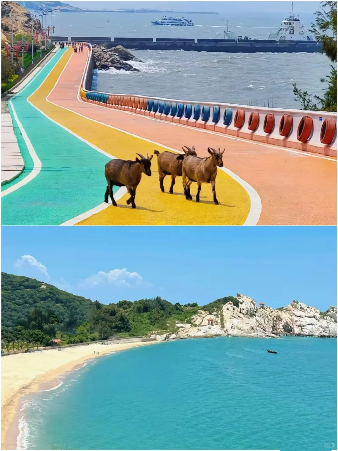 放弃三亚了，这里太香了！🌴