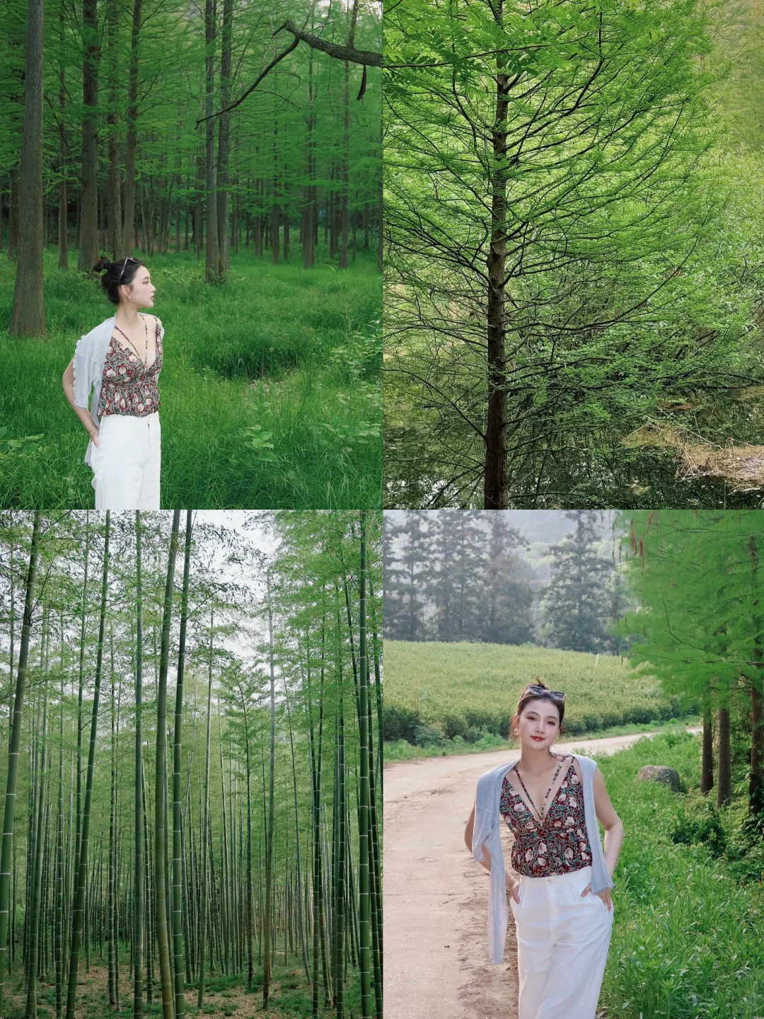 喜水人不可错过的宝藏小城💧江浙沪避暑游