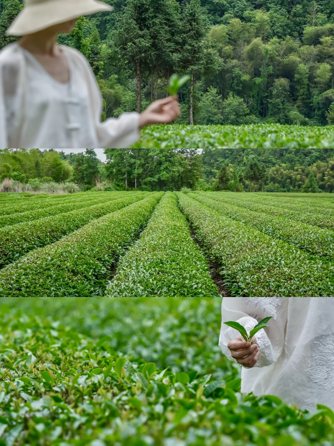 冷门小城48h，我逃离了办公室