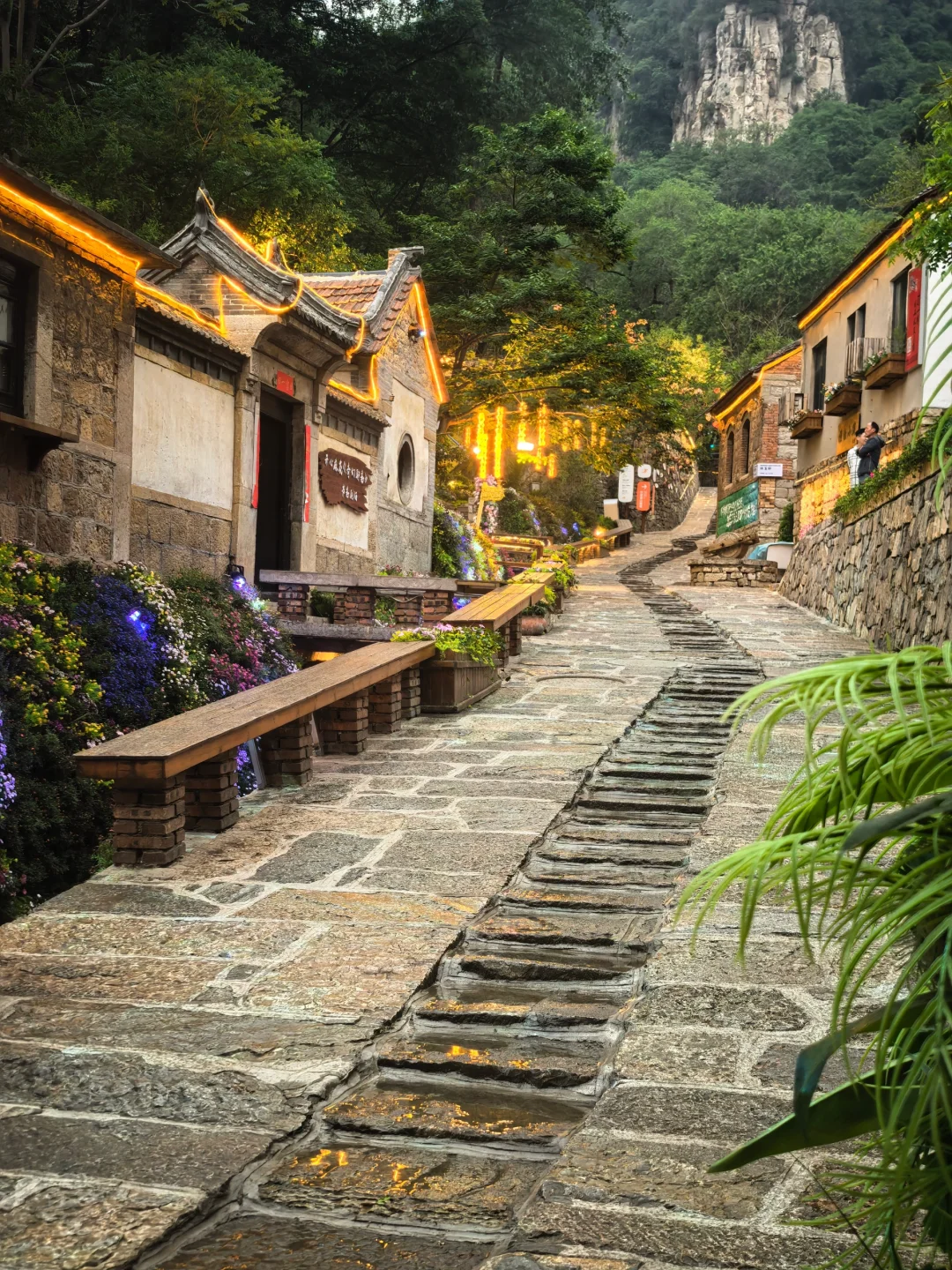 🍃朋友圈都以为我出省了,其实我还在山东