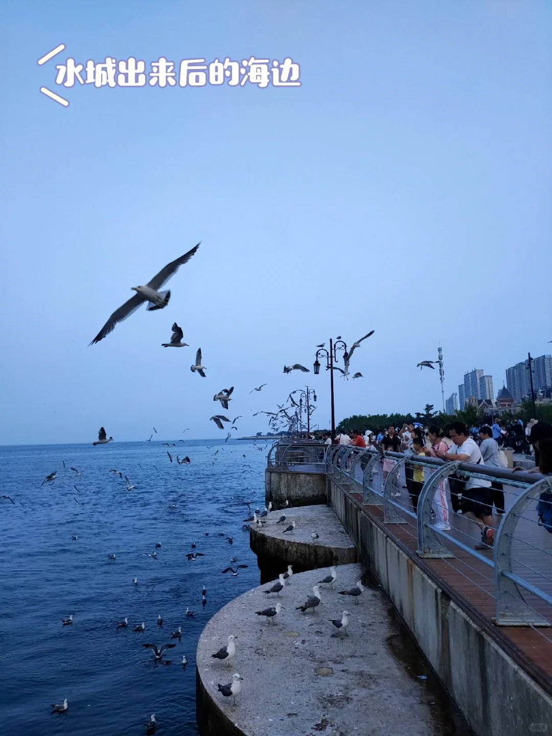 2024暑假东北之旅流水账（一）