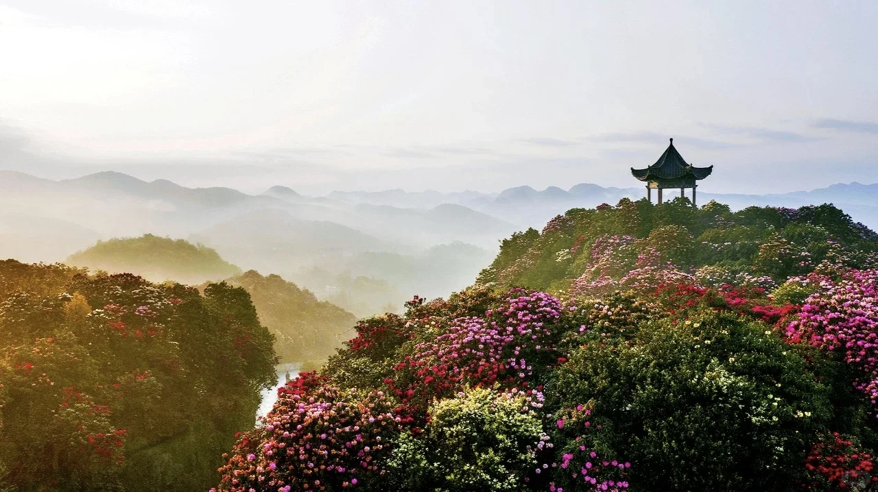 贵州毕节的旅游景点真的多