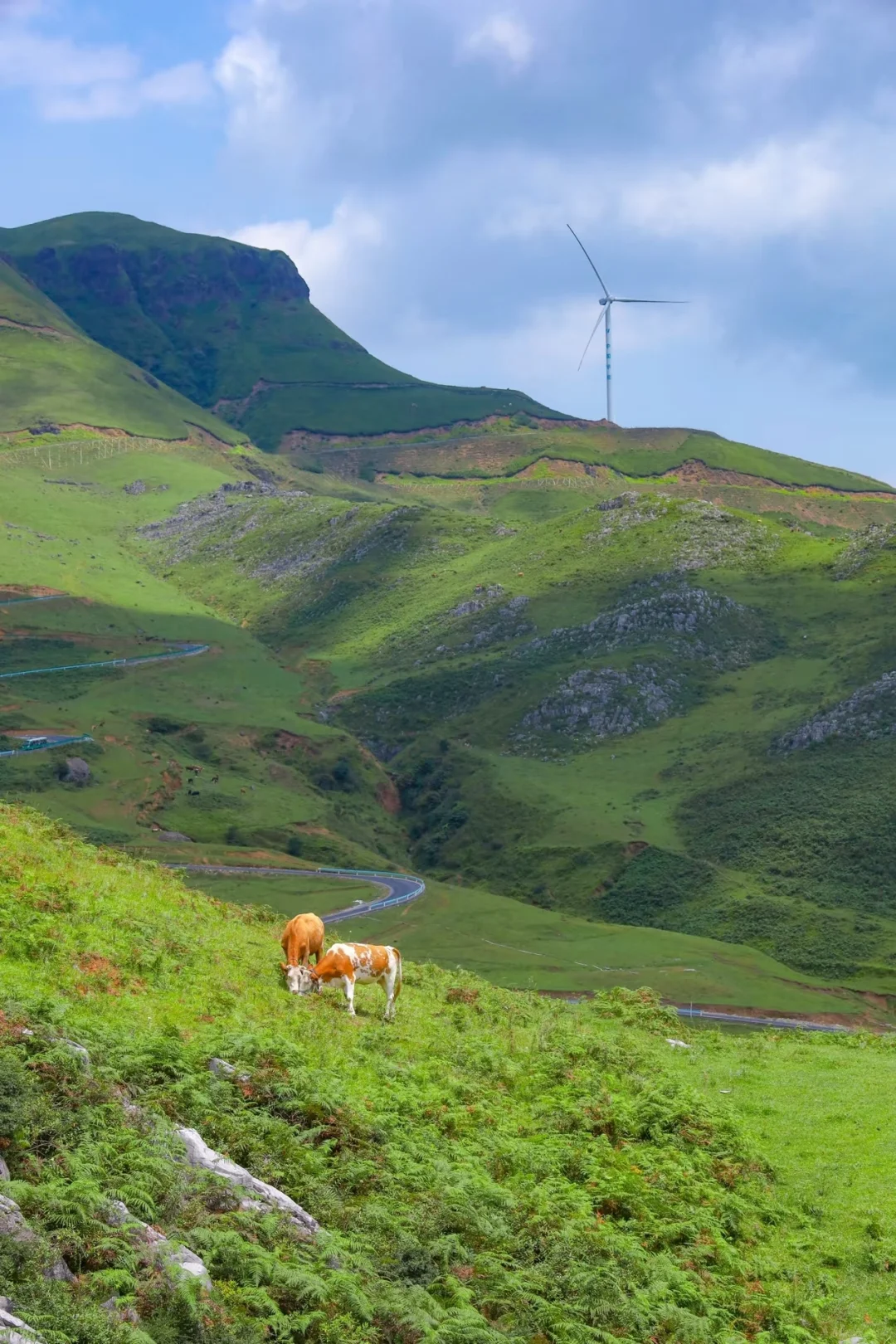 贵州！被严重低估的6️⃣个小众避暑旅行地🍃