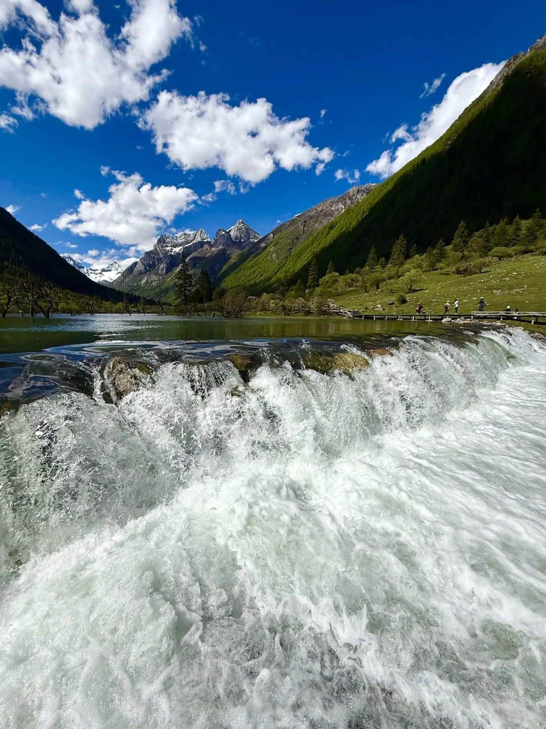雪山下的松弛感真的可以封神。。。。全live