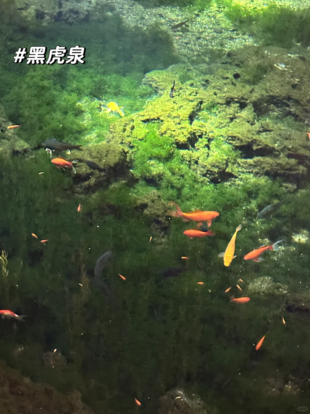 周末48h逃离天津→→→📍济南