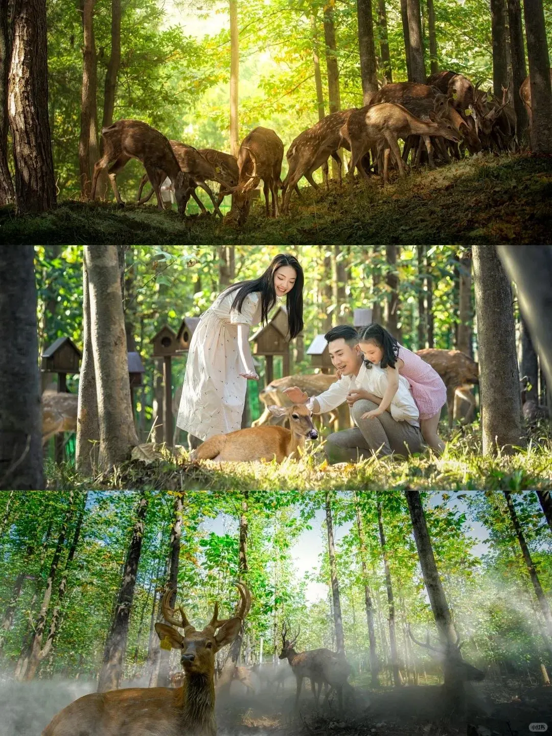 在常州❗避暑➕玩水一站式搞定有多爽❗