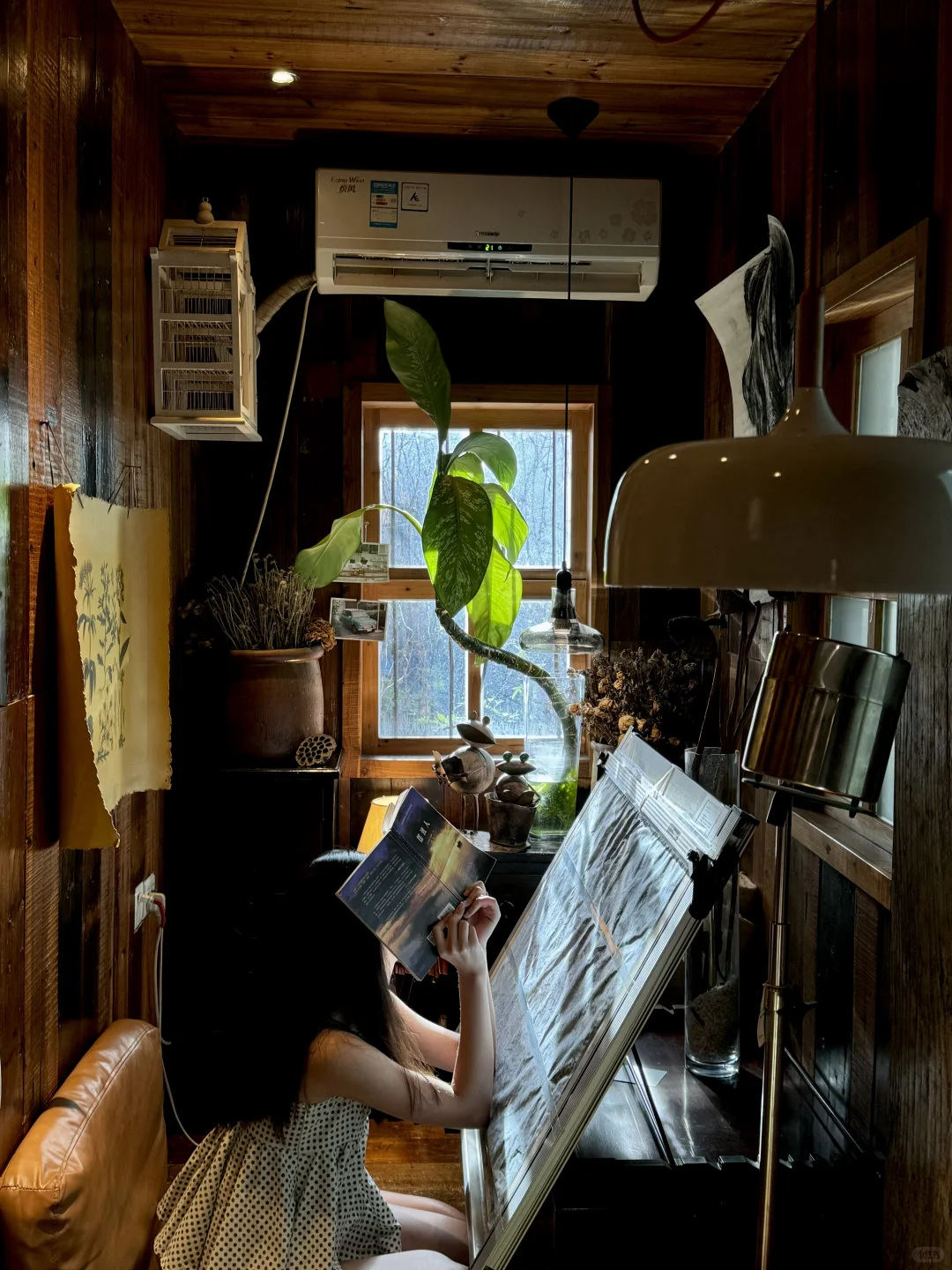 在厦门！！花1r能呆一下午的漂亮地方🌱……