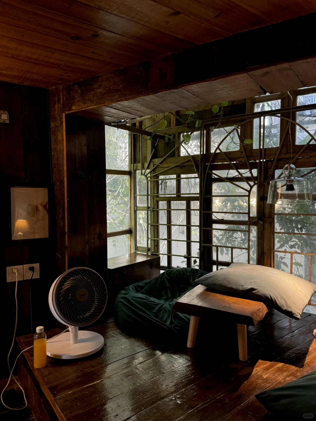 在厦门！！花1r能呆一下午的漂亮地方🌱……