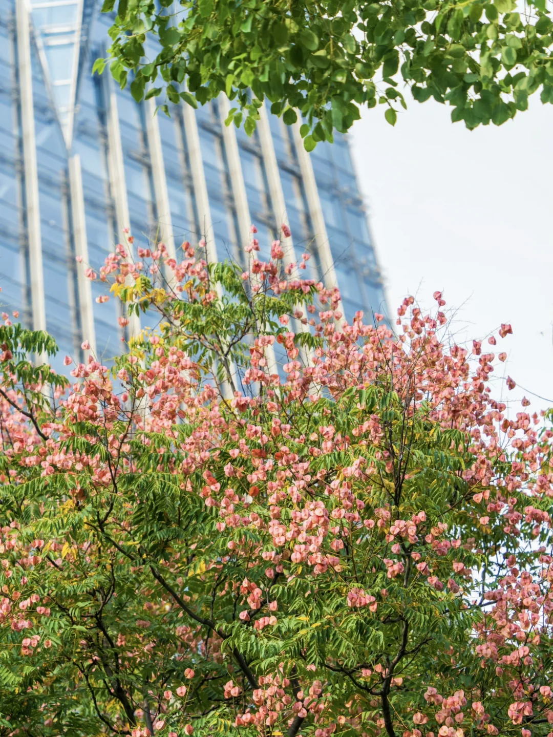 04女大📍济南出发一路向南玩转江浙沪