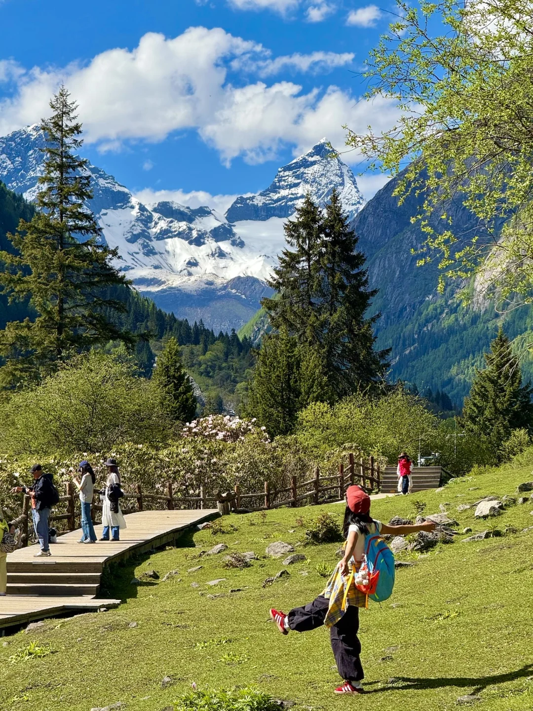 雪山下的松弛感真的可以封神。。。。全live