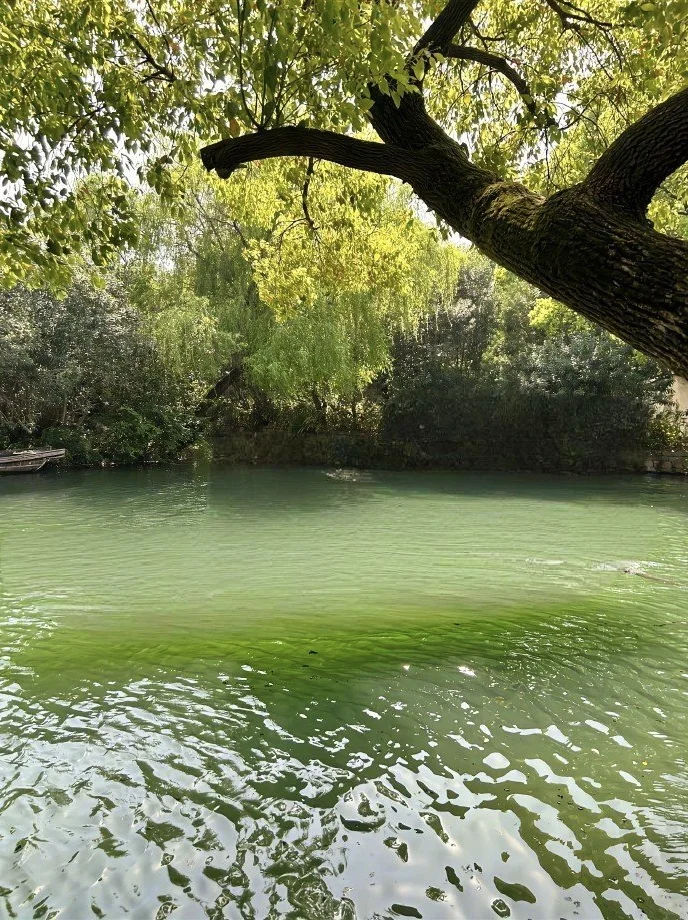 04女大📍济南出发一路向南玩转江浙沪