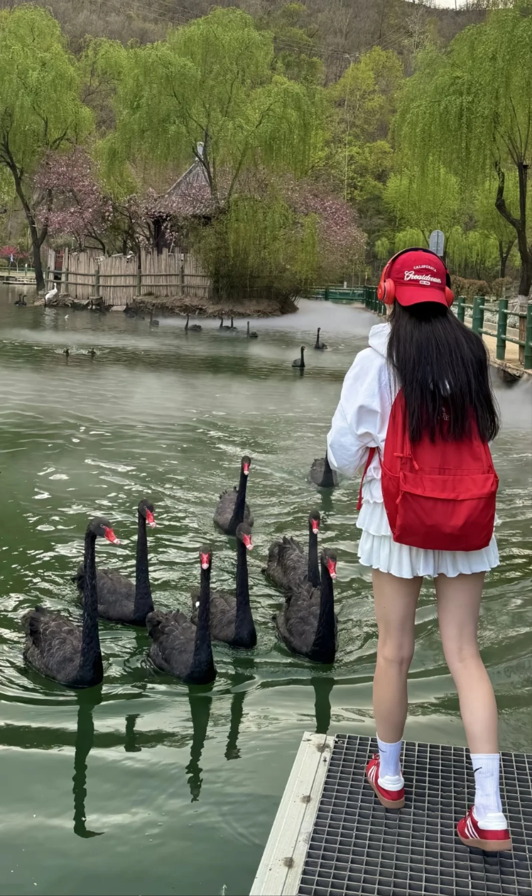 邯郸到重渡沟(洛阳)旅游攻略,绿野仙踪现实