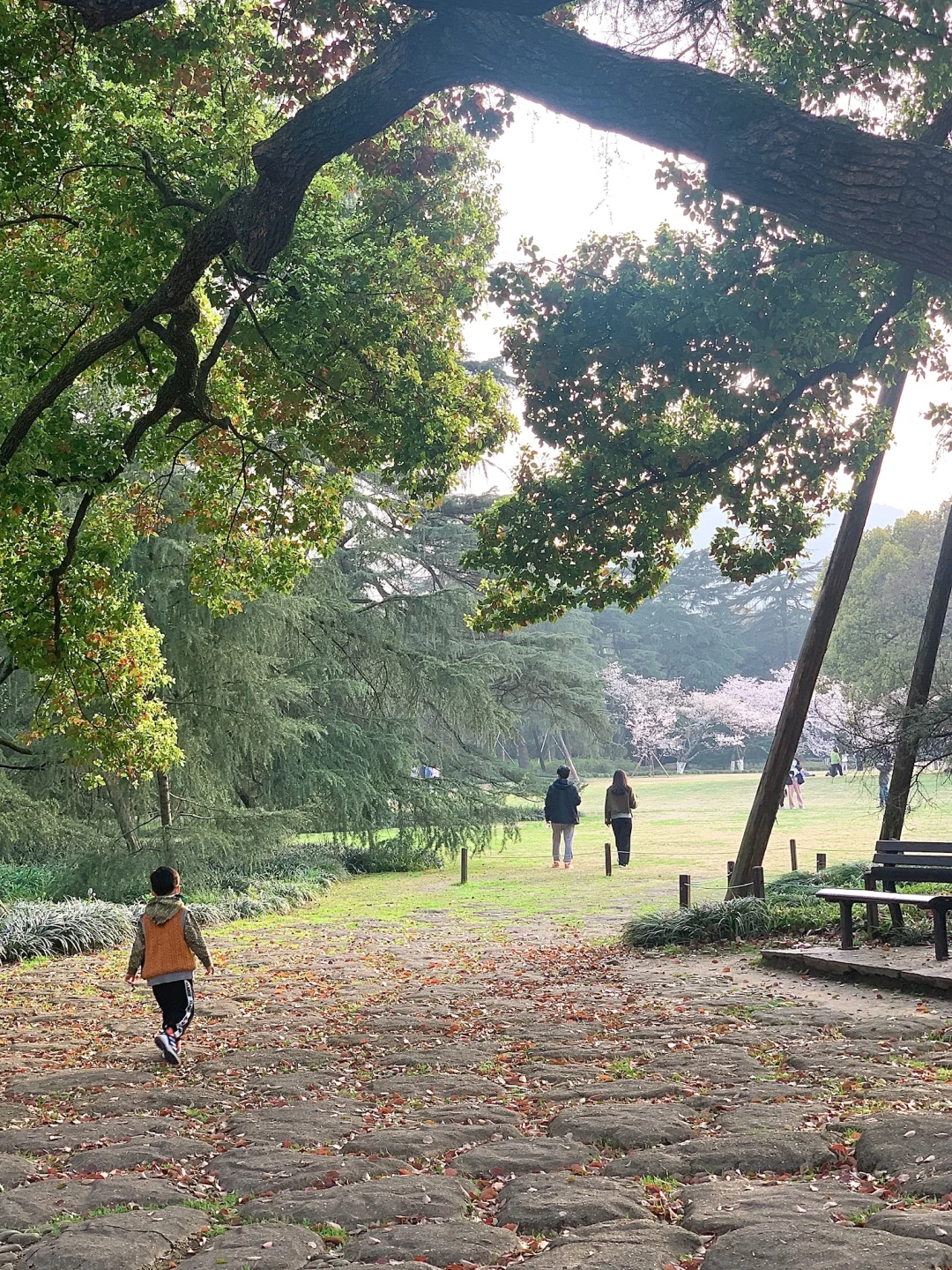 杭州！！年度宝藏打卡地整理合集！！！会反复去…