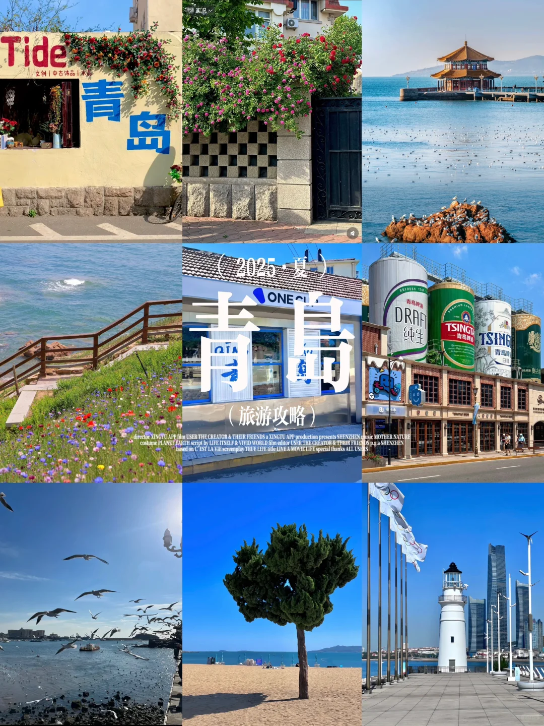 别再乱搜啦!这才是青岛旅游天花板攻略