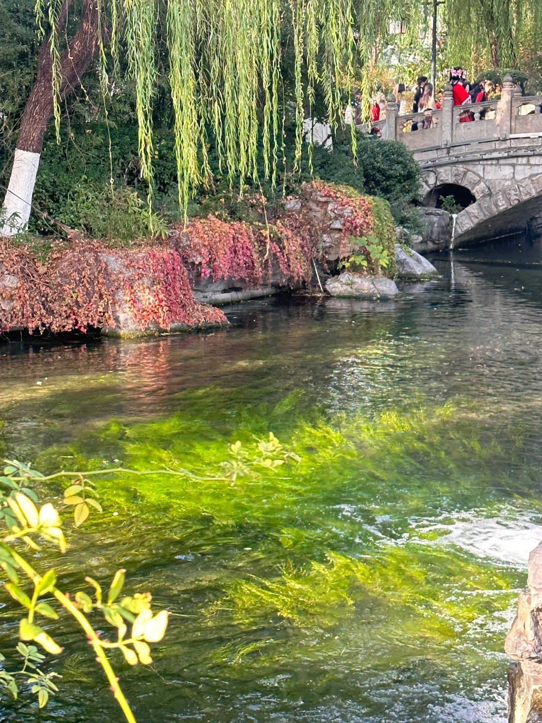 周末48h逃离天津→→→📍济南