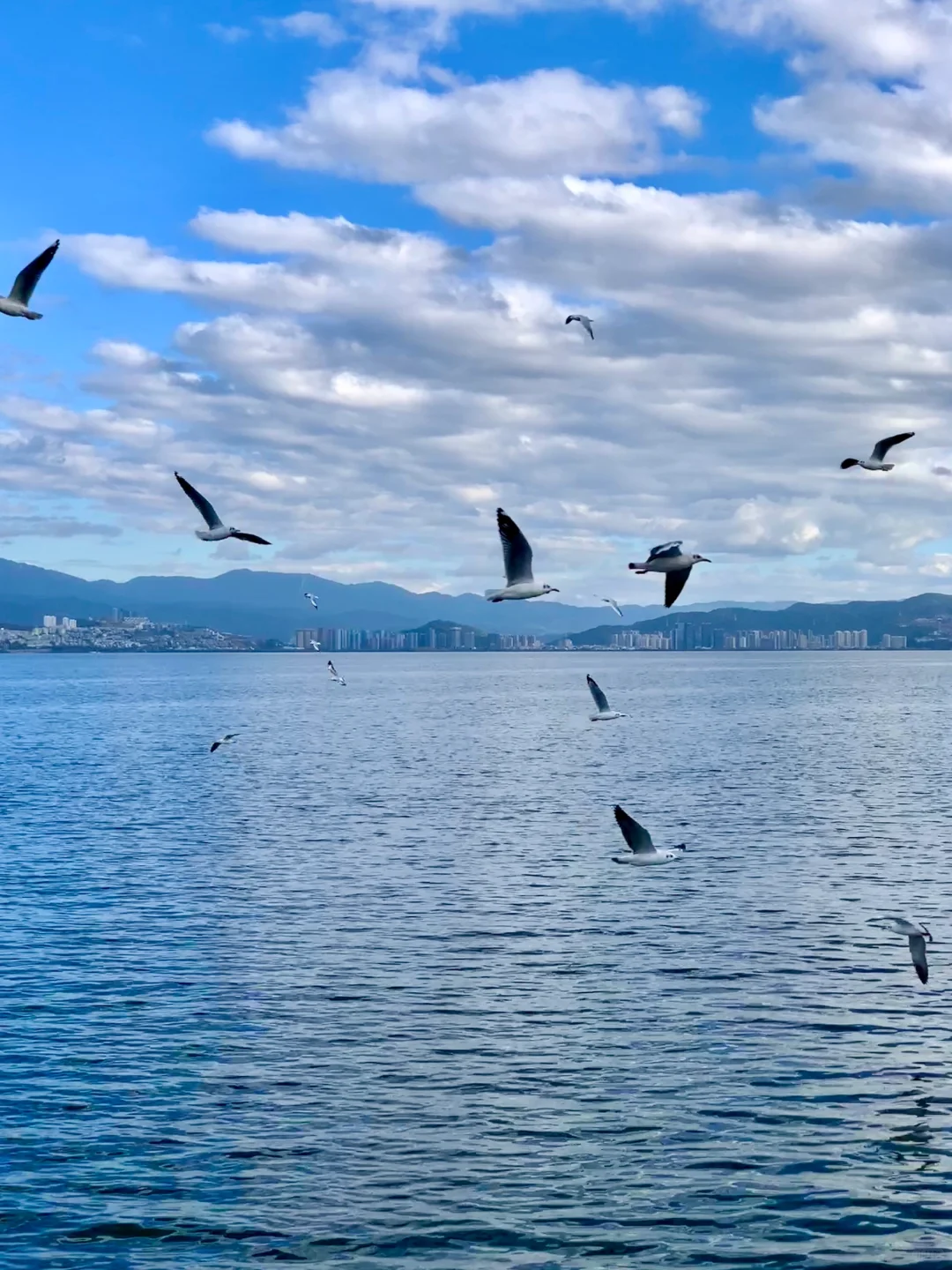 关于我一个人在大理和丽江旅行的花费!!!