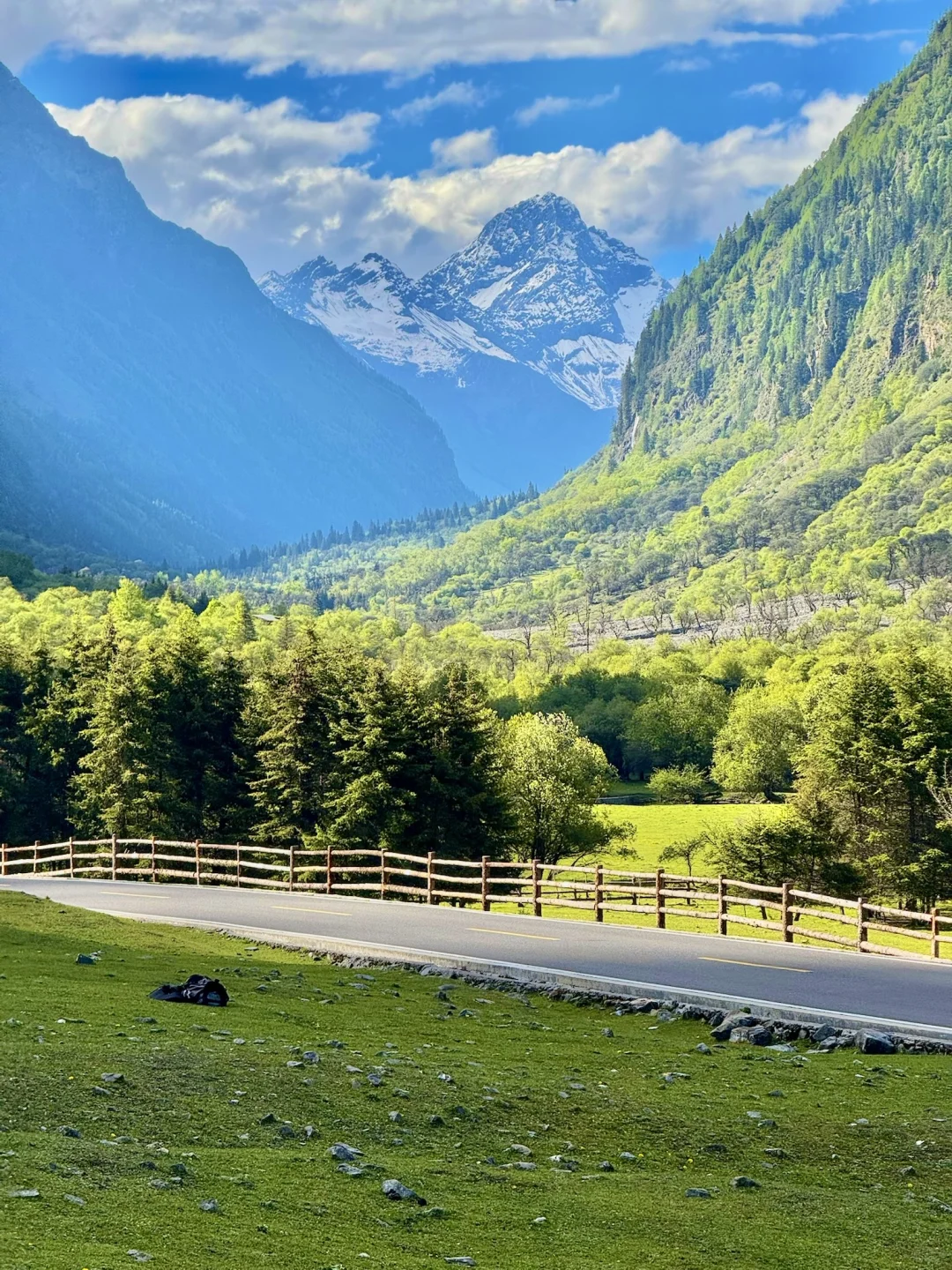 雪山下的松弛感真的可以封神。。。。全live