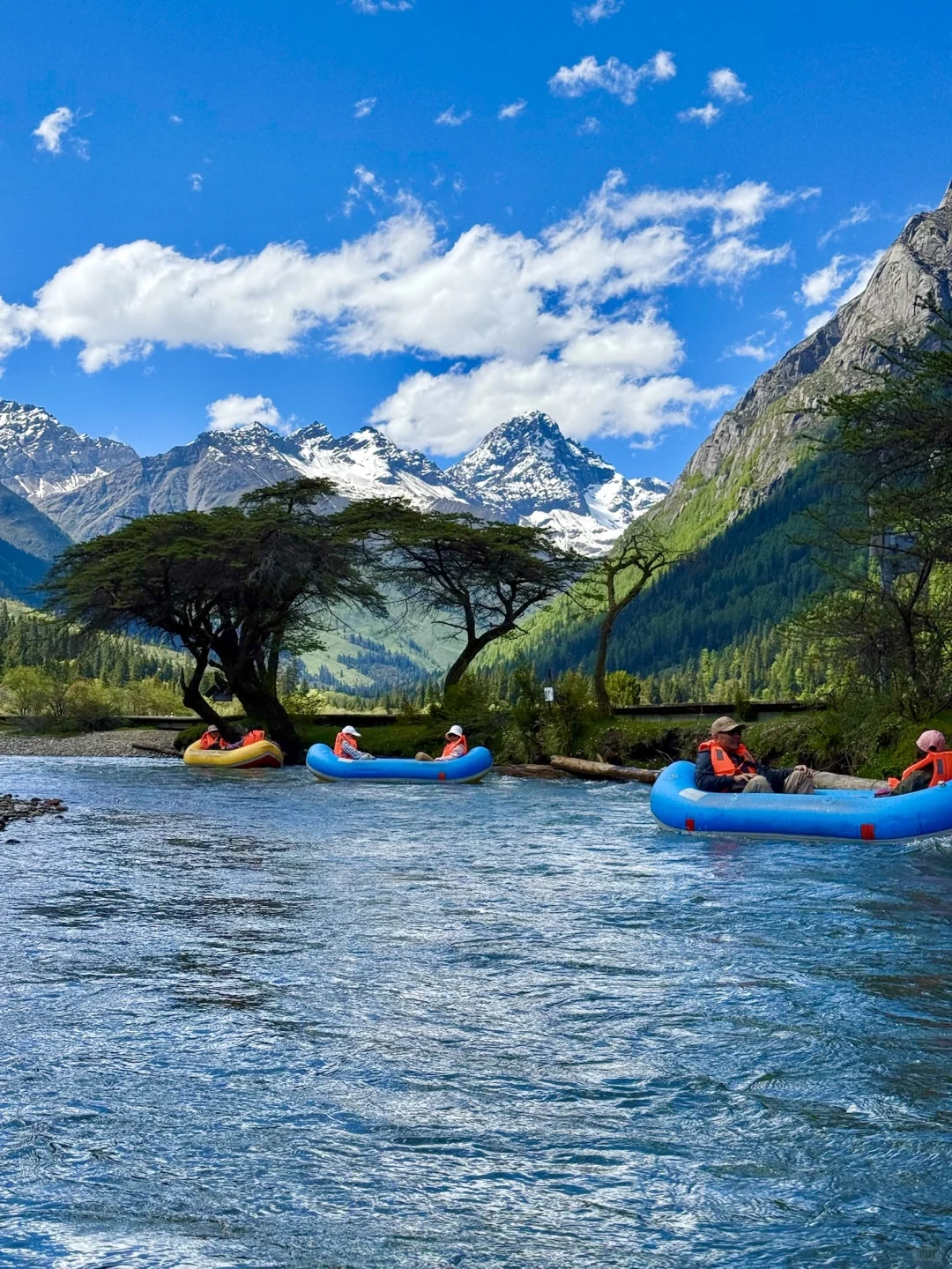 雪山下的松弛感真的可以封神。。。。全live