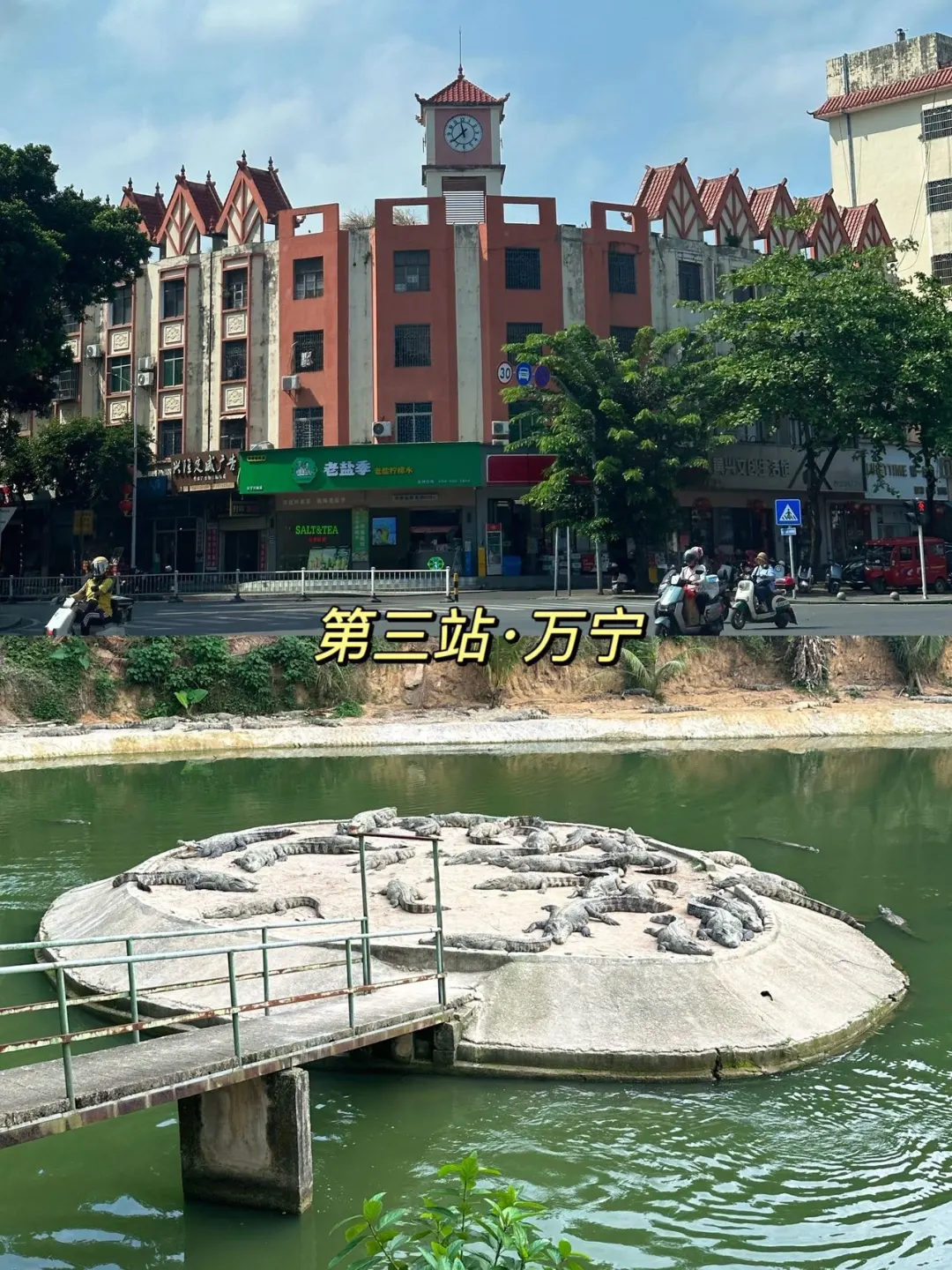 海南五天四夜旅游攻略！全是干货😭😭