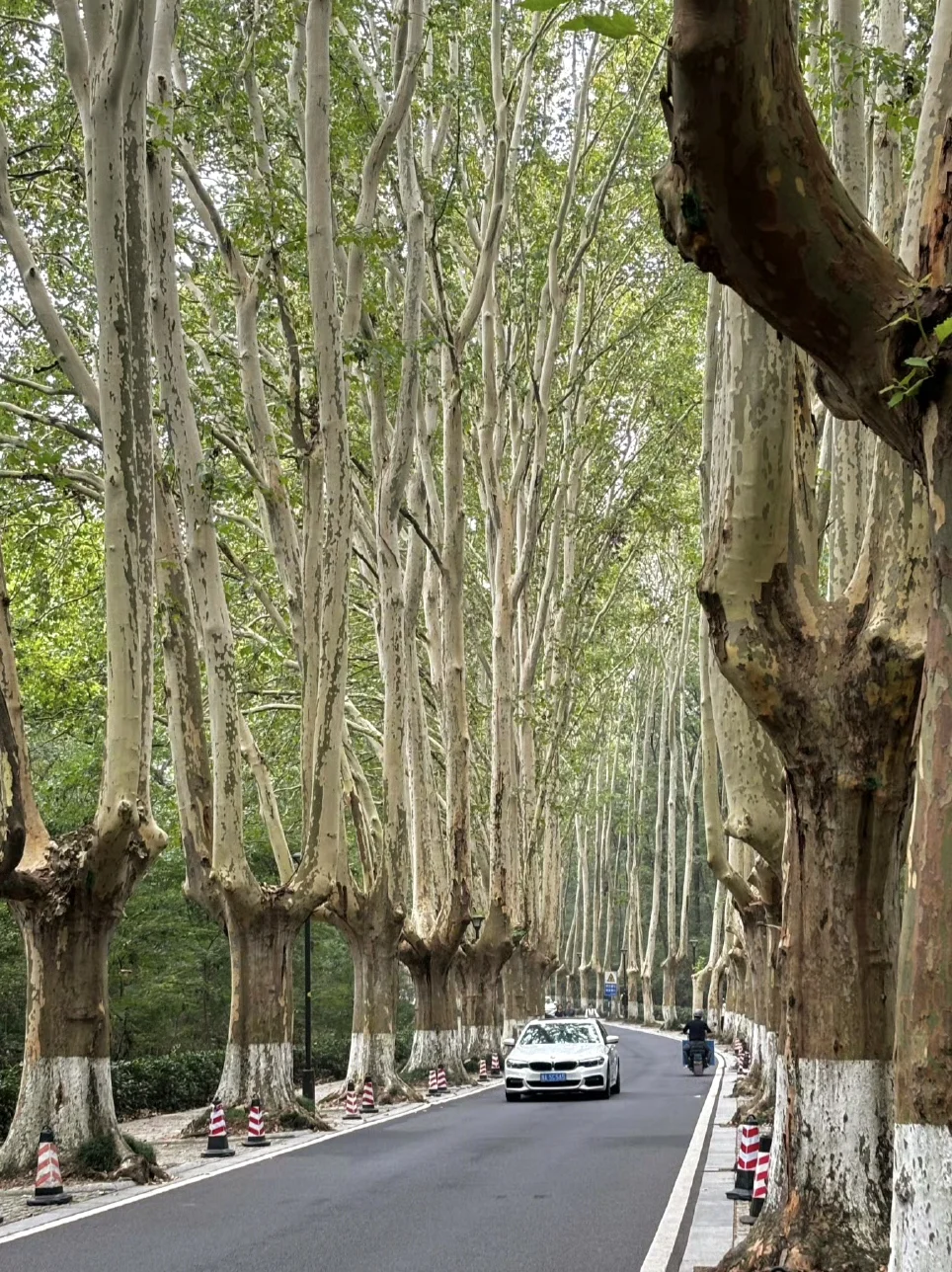 04女大📍济南出发一路向南玩转江浙沪