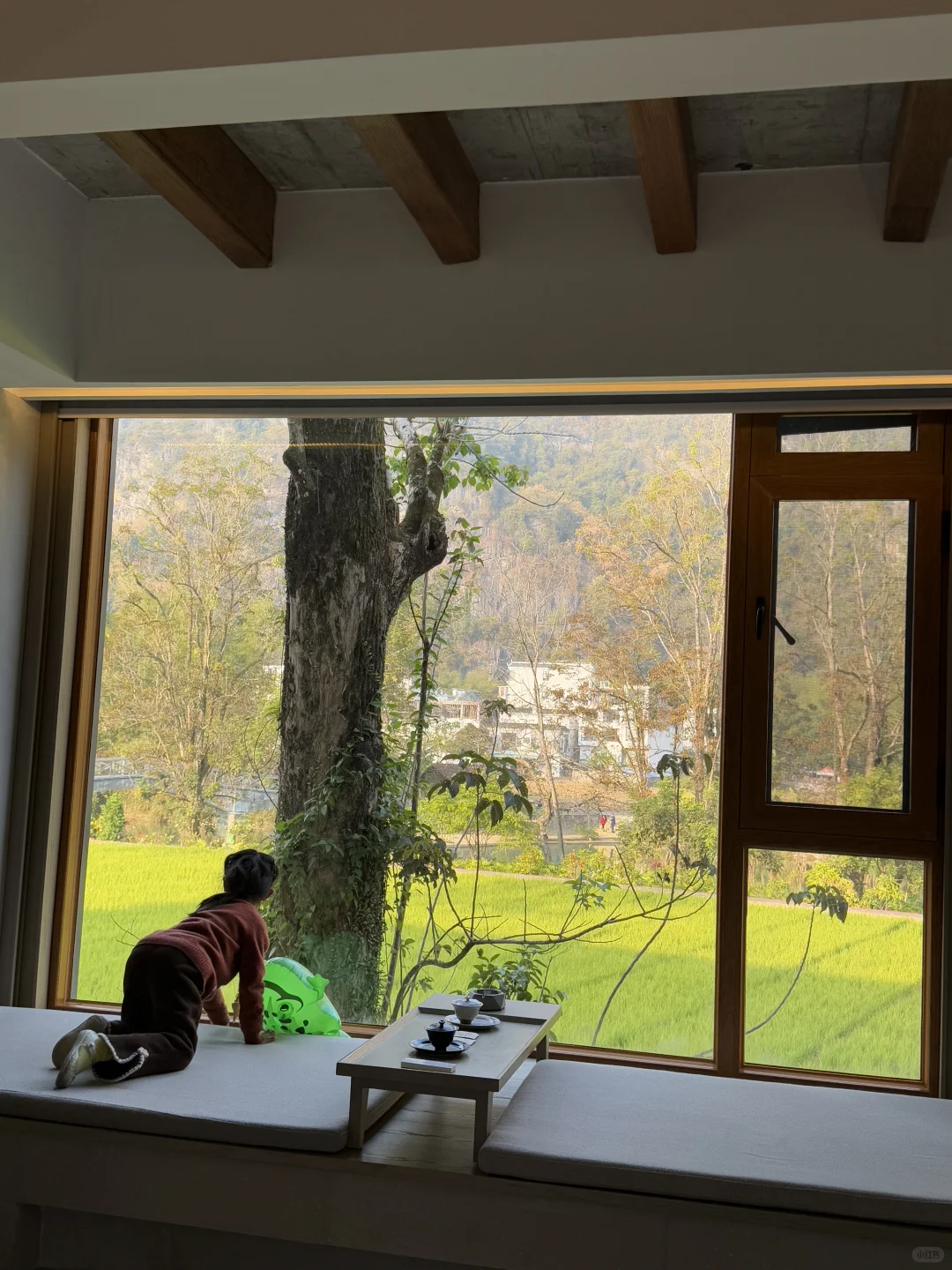 崇左+涠洲岛，广西值得！