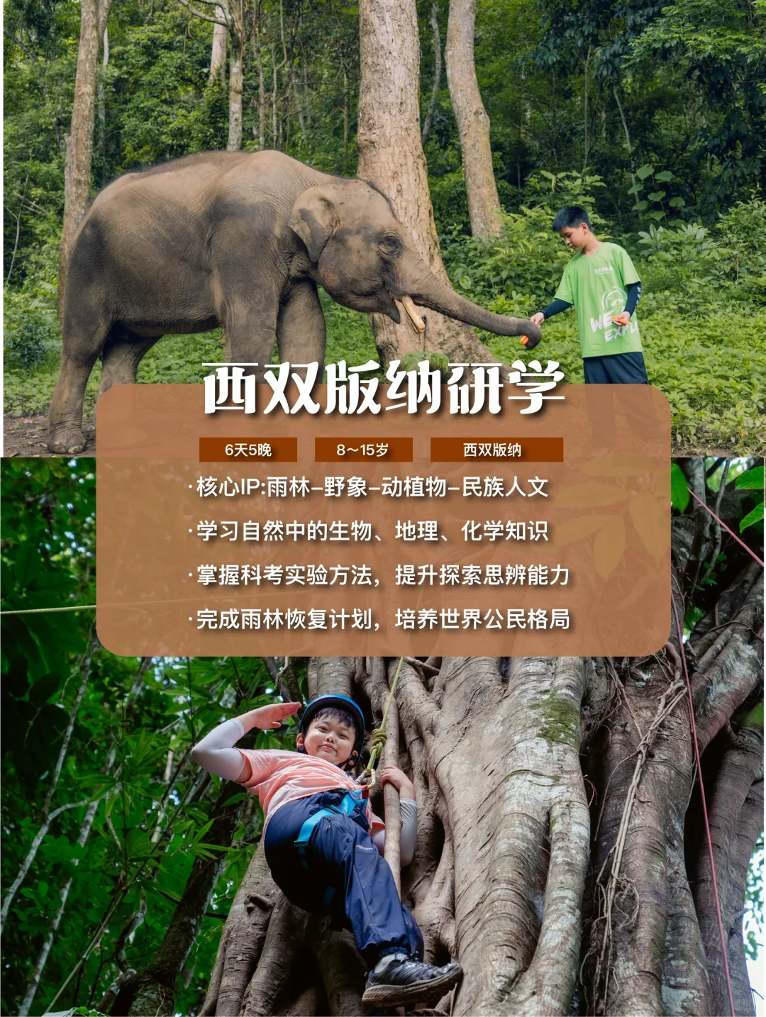 2025新东方暑假🔥国内研学热门路线大揭秘