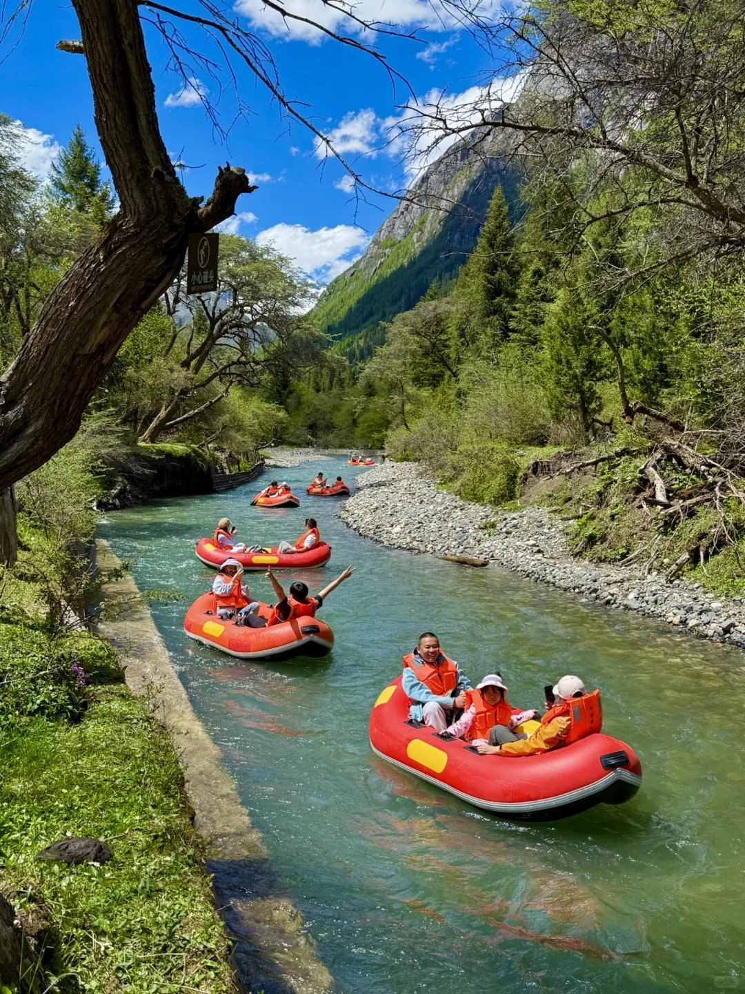 雪山下的松弛感真的可以封神。。。。全live