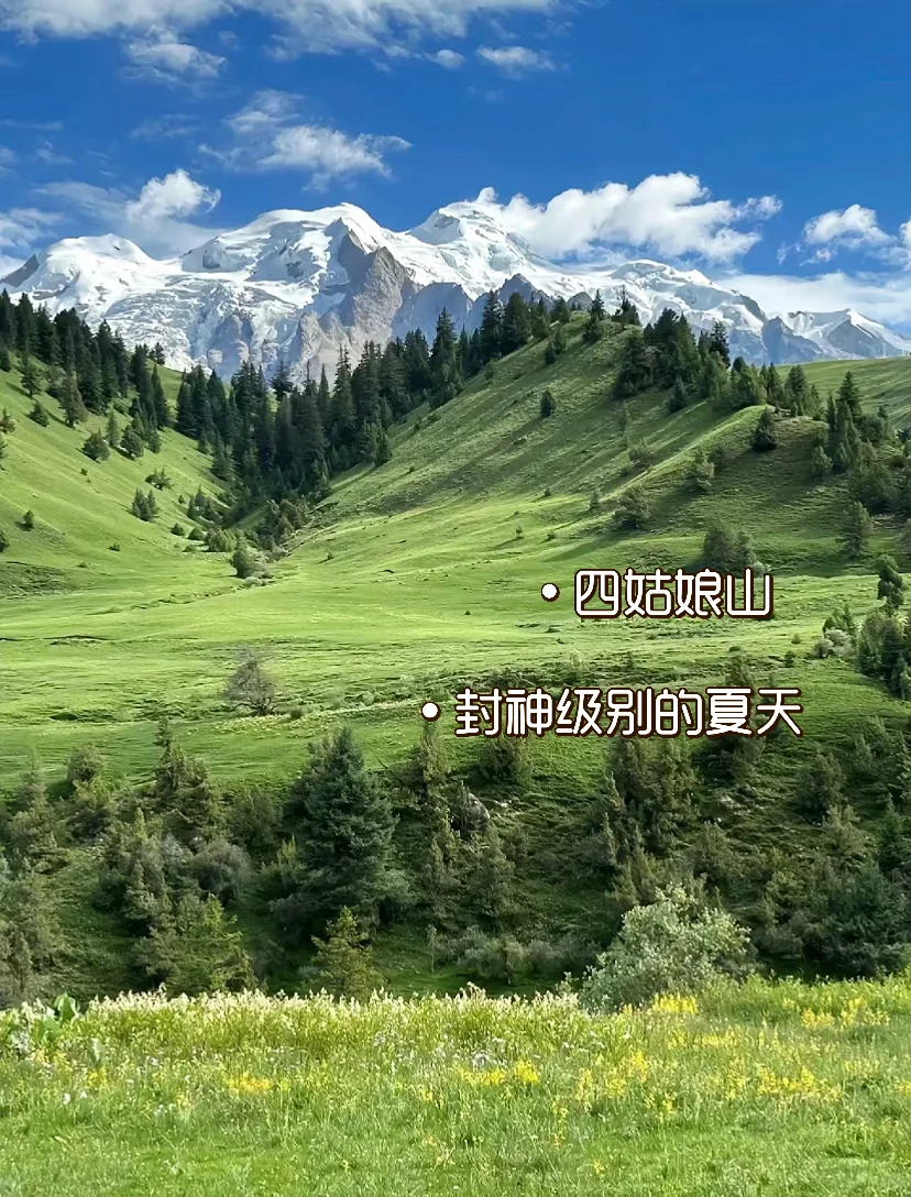 四川‼️你到底还有多少惊喜是我不知道的