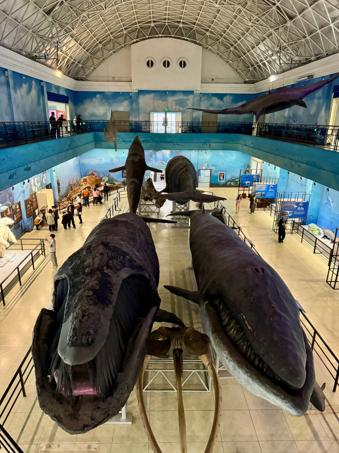 以为威海已经够美了‼️直到我去了大连🌊