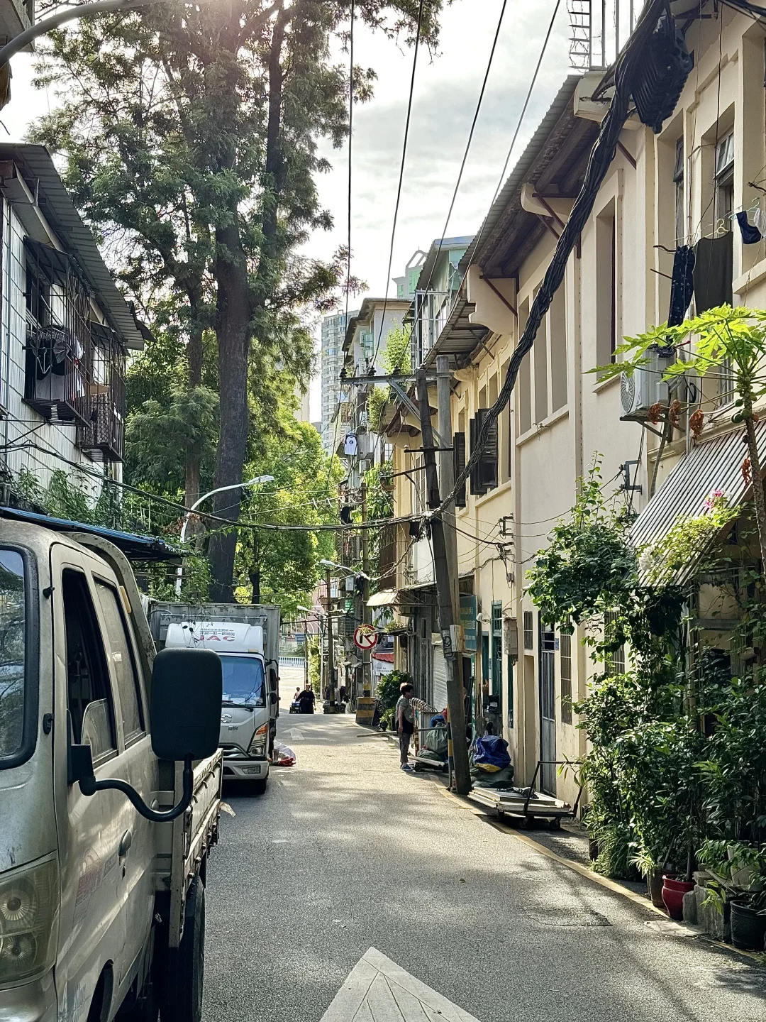 在厦门！！花1r能呆一下午的漂亮地方🌱……